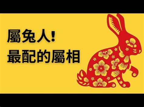 生肖兔配對|【屬兔和什麼屬相最配】十二生肖配對：屬兔和誰最速配？解開你。